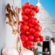 CASA AZZURRA - LES TOMATES SECHEES ALBEROBELLO